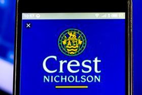 Crest Nicholson says profit at ‘lower end’ of expectations due to higher proportion of affordable homes built Image