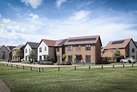 Honey announces new partnerships business with £60m in forward sales Image