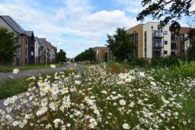 Two in five councils lack in-house expertise on biodiversity net gain says HBF Image