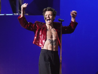 Harry Styles given go ahead to build £30m Hampstead mansion - but theres a catch Image