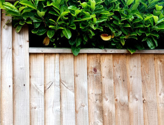  What is feather edge fencing? The pros reveal how it differs from other types of fencing and how to build your own  Image
