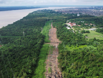 A big scandal: Outrage over Brazil cutting down 100000 Amazon rainforest trees to build road for Cop30 Image