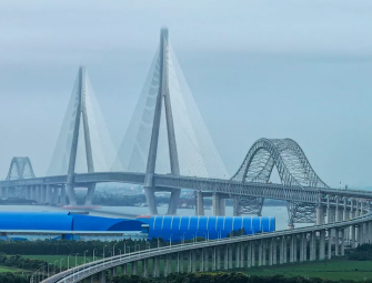 Worlds Longest Cable-stayed Bridge Opens in China Image