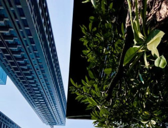 Actions not words: How will we deliver the quality built environment we deserve? Image