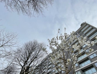Ensuring safety and compliance: Fireco upgrades fire doors at London residential block Image