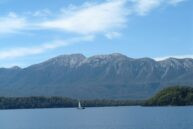 EPBC Act changes introduce new challenges for sustainable construction practices Image