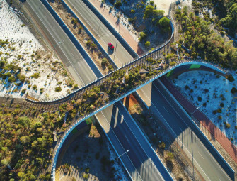 Ellenbrook wildlife bridge: Engineering with nature in mind Image