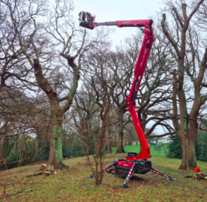 Investment in a Hinowa spider lift Image