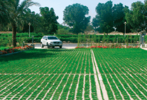 The key to sustainable practices Image