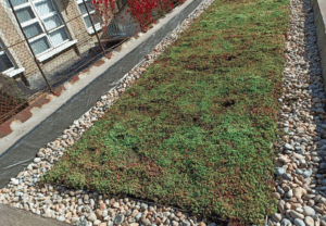 Four essential benefits blue roofs provide Image