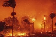 The LA fires have prompted a reckoning for the insurance industry – Australian premiums could soar as a result Image