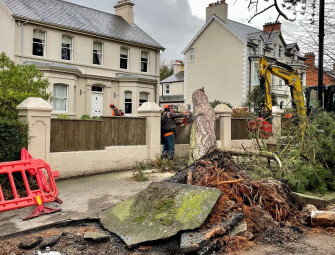 Stormont Executive allocates over £17m to deal with impact of Storm Eowyn Image