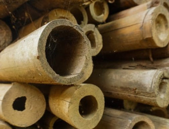 New bamboo structure design manual published by Institution of Structural Engineers Image