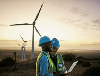 Nature crisis in construction highlighted by wildlife organisations Image