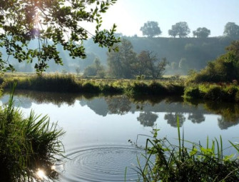 Nature groups send letter regarding planning bill environmental impact Image