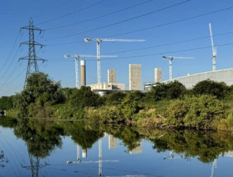 Time to “forget the bats and newts”: Is planning reform enough? Image