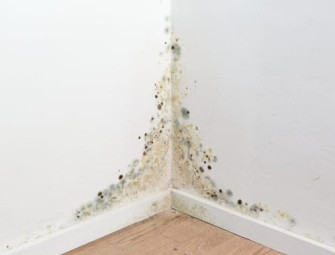 Property Health App: Your shield against damp & mould Image