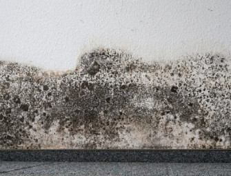 ‘Transformational’ moisture management technology to tackle damp and mould Image