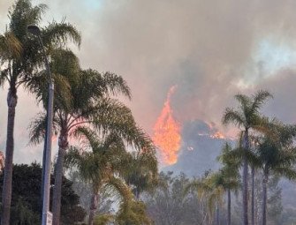 Eames House under threat as more than 1000 buildings destroyed in apocalyptic LA fire Image