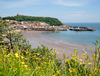 Another chance to share your views on dog walking at the coast Image