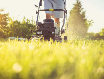 4 Garden Maintenance Tasks All Landlords Should Outsource Image
