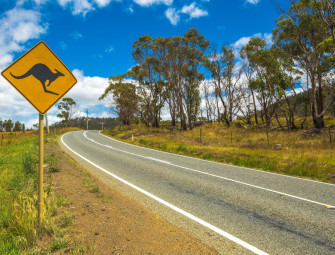 Record injection targets WA’s riskiest roads Image