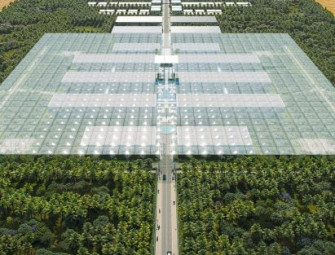 Renzo Piano Building Workshop unveils hospital of the future for Sharjah Image