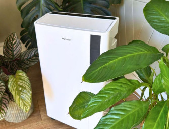  Could this common appliance be silently killing your houseplants?  Image