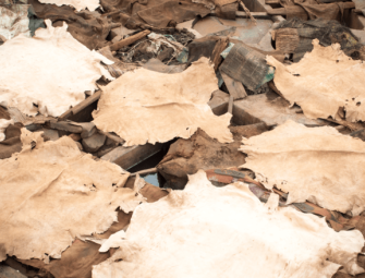 Cleaning Up a Toxic New Hampshire Tannery Site Image