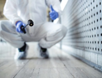 Google Ads for Mould Claims Spike as Housing Sector Faces Reform Image