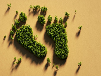 Opinion: Draft NPPF: Positive steps but more certainty on climate and development management please Image