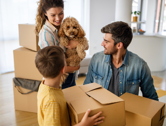 Reed announces boost for social housing grant Image