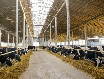 Government proposes reforms to enable farmers to build barns Image