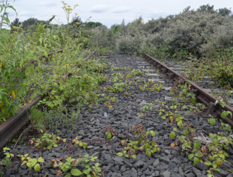Brownfield funding released to build 5200 homes Image