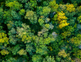 Appeal: Affordable housing proposal unsuitable in green wedge Image