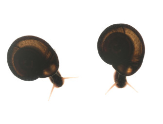 Water agreement means 21000 homes can be built in Sussex Image