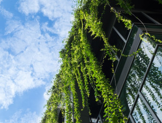 Building services professionals must drive decarbonisation Image