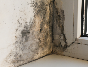 Awaab’s law: what it means for facilities managers and social housing landlords Image