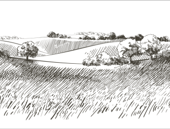 Opinion: It promised the Earth but leaves us with hastily scribbled IOUs Image