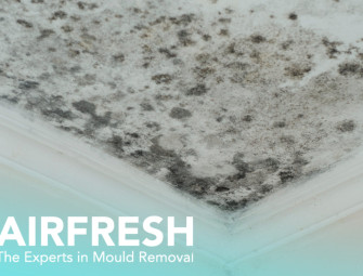 Awaab’s Law Brings Strict Deadlines for Mould Repairs but Competency Concerns Remain Image
